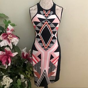 Express ✨Form Fitting Dress